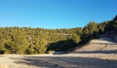 Randonnée Marche Sanary-sur-Mer - Le Gros Cervea - Photo 11