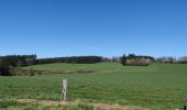 Randonnée Marche Saint-Hubert - A la découverte de Mirwart et ses environs  - Photo 5