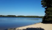 Randonnée Marche Moux-en-Morvan - Lac des Settons - Photo 1