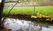 Randonnée Marche Villers-la-Ville - #190324 - Rigenée, rives de la Thyle, château du Châtelet et golf**** - Photo 11