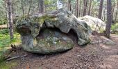 Tocht Stappen Fontainebleau - Fontainebleau sentier Denecourt 9 Est - Photo 4