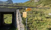 Tour Zu Fuß Bedretto - Alla Baita-Alpe di Cruina - Photo 6