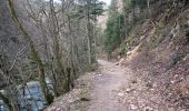 Trail On foot Boudry - Pont des Clées-Forêt de Boudry - Photo 5