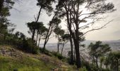 Tour Wandern Toulon - reco faron 2 - Photo 15