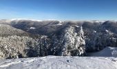 Tocht Ski randonnée Fellering - Randonnée frenz - Photo 2