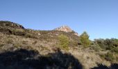 Tour Wandern Cabrières - Crêtes du Vissou - Photo 3