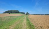 Trail Walking Williers - rando chameleux 22-08-2024 - Photo 16