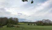 Randonnée Marche Modave - Linchet-Modave-Linchet - Photo 1