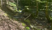 Trail Walking Vecoux - Chaudefontaine -grand lac- Chaudefontaine  - Photo 3