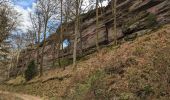 Percorso Marcia Philippsbourg - 2023-04-09 Marche Chateaux Rothenbourg Waldeck Falkenstein - Photo 4