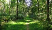 Trail Walking Choisy-au-Bac - en forêt de Laigue_5_09_2019_Mont Moyen_Queue du Bois_Plates Noues - Photo 20