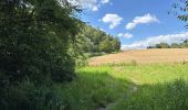 Randonnée Marche Liège - Liège sainte Walburge Buren sentier coteau terril 17,2 km - Photo 4