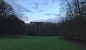 Trail Walking Huy - Saint Léonard  - Photo 1
