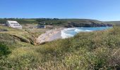 Trail Walking Cléden-Cap-Sizun - Pointe du Van - Photo 10