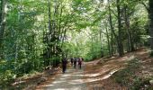 Trail Walking Doizieux - 42  croix Montvieux collet de Doizieux 19km 650m - Photo 3