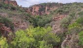 Excursión Senderismo Roquebrune-sur-Argens - Blavet selon François  - Photo 13