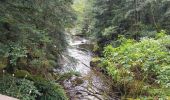 Excursión Senderismo Cros - Le pont du diable, en p1rtant du gîte aux milles fleurs - Photo 9