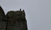 Trail Walking Massegros Causses Gorges - La Bourgarie et les gorges du Tarn - Photo 6