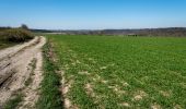 Trail Walking Court-Saint-Étienne - Promenade 3 de Franquenies - Photo 15