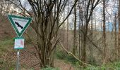 Tour Zu Fuß Nideggen - Stauseerundweg Obermaubach - Photo 8