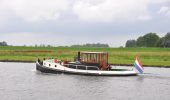 Tocht Te voet Zwolle - WNW IJsseldelta - Het Hoge Laar/Westerveldsebos -blauwe route - Photo 4