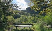 Tour Wandern Stauseegemeinde - Bavigne 10,1 km - Photo 8