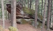 Tour Wandern Ottrott - St Odile Brigitte - Photo 8