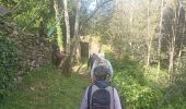 Trail Walking Saint-Gervais-sur-Mare - boucle COURS LES BANISSOUS - Photo 17