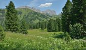 Randonnée A pied Sëlva - Wolkenstein - Selva di Val Gardena - IT-654 - Photo 6