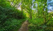 Tour Wandern Onhaye - Balade de Sommière à Weillen - Photo 4