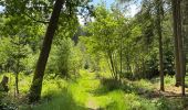 Percorso Marcia Arlon - Balisage GR 15   Guirsch -Tontelange - Photo 2