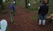 Trail Walking La Roche-en-Ardenne - le marais - Photo 2