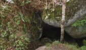 Tocht Stappen Trégastel - Vallée de Tra'ouïero - Photo 4