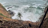 Excursión Senderismo Le Lorrain - La Crabiere Anse rivière Rouge - Photo 16