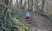 Trail  La Sône - La Sône le sentier du martin pêcheur  - Photo 8