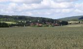 Percorso A piedi Arnstadt - Geschichts- und Naturlehrpfad im Jonastal - Großer Wanderweg - Photo 5