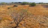 Tocht Te voet Güímar - Camino del Socorro - Photo 10