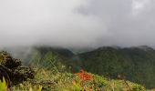 Randonnée Marche Le Morne-Vert - Montjoly - Les pitons du Carbet - Photo 2