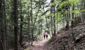 Randonnée Marche Gresse-en-Vercors - gresse deux soeurs - Photo 1