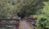 Trail Walking Martelange - Martelange, Bois d’Anlier, Passerelle des oiseaux - Photo 8