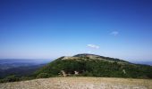 Tour Wandern Castellet-en-Luberon - Mourre du Grd Lubéron, crêtes et versant Nord  - Photo 3