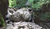 Tocht Stappen La Sure en Chartreuse -  Gorges de la Roize Voreppe - Photo 13