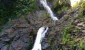 Excursión Senderismo Goyave - cascade bras de fort - Photo 3