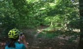 Trail Mountain bike Chiny - Chiny Semois et forêts 23km - Photo 3