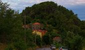 Trail On foot Framura - Framura (Setta) - Costa - Rovereto - Castagnola - Monte Sant'Agata - Photo 7