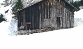 Excursión Esquí de fondo Morzine - Bostan par les Mines d Or  - Photo 5