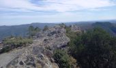 Tour Wandern Saint-Jean-du-Gard - Signal Saint Pierre  - Photo 8