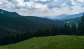 Trail On foot Unknown - Câmpulung Moldovenesc – Culmea Munceii Rarăului – Hotel Rarău (blue stripe) - Photo 7