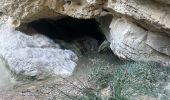Trail Walking Gigondas - Dentelles de Montmirail - Photo 3