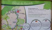 Trail Walking Marlenheim - Circuit de Bacchus - Le Riewerle - Photo 1
